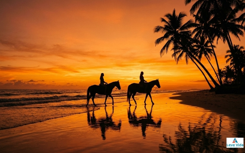 Cavalgada ao pôr do sol
